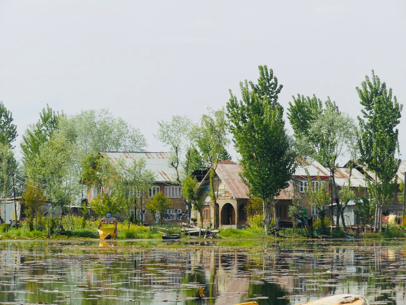 Kashmir