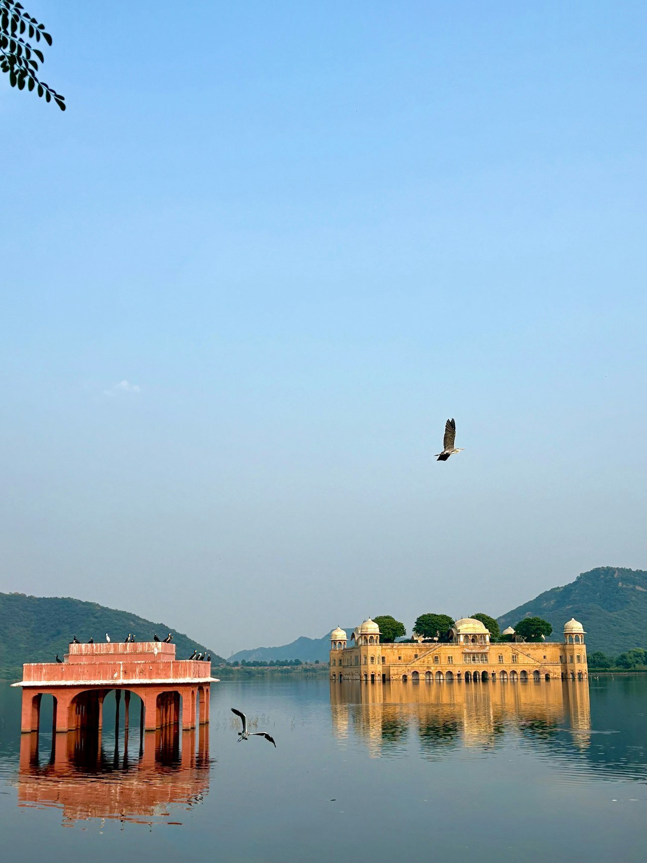 Rajasthan